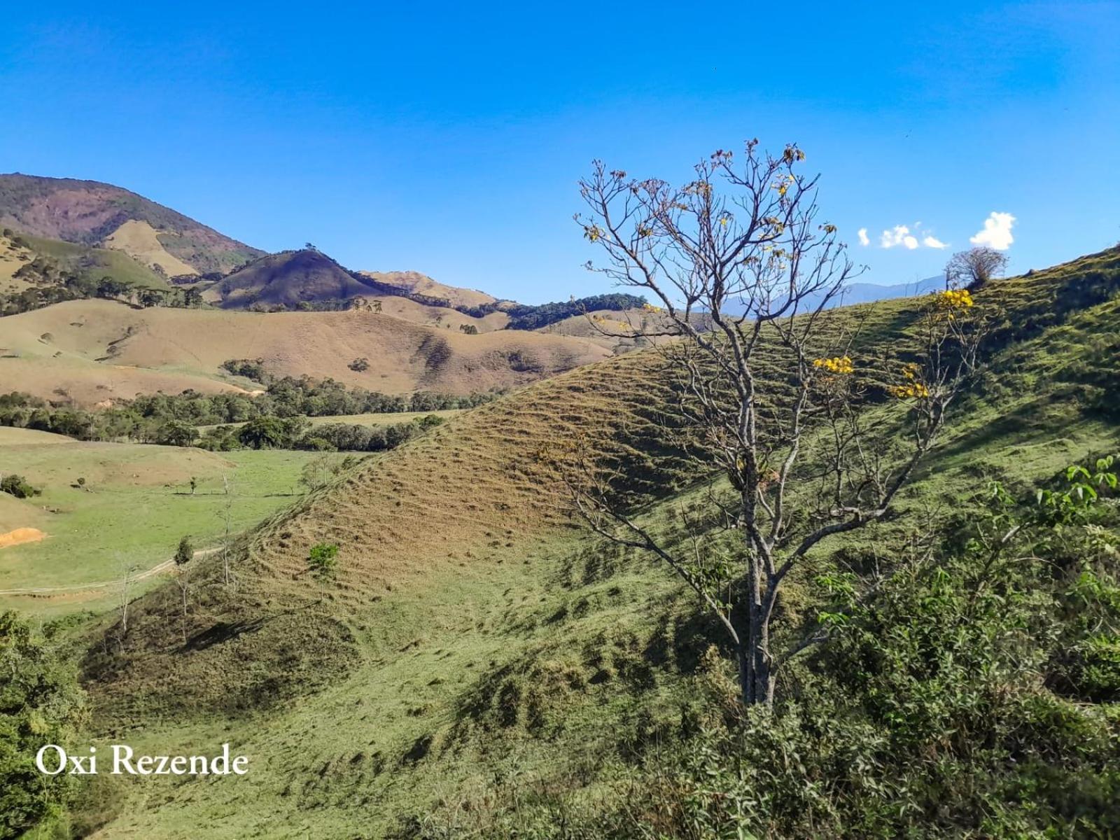 Chales Mirante Pedra Selada فيسكوندي دي ماوا المظهر الخارجي الصورة